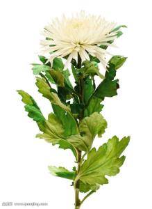 籩Ϯ ½߷ٳÿСʱ100