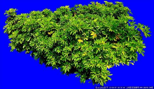 ͻƣйͱ׼ֱ7.7%11.3%